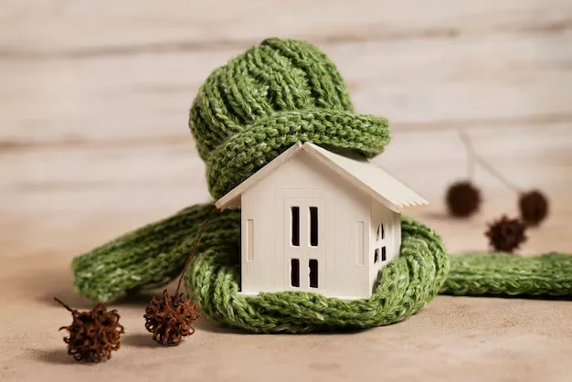 maison en bois